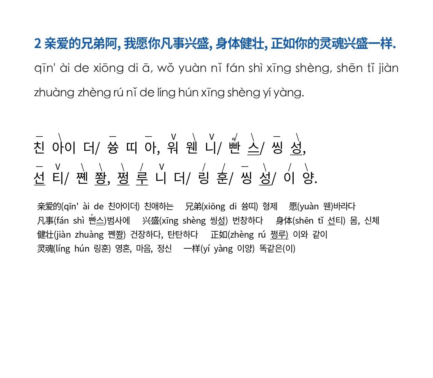 4권세트 한∙영∙중 바이블 챔피언쉽